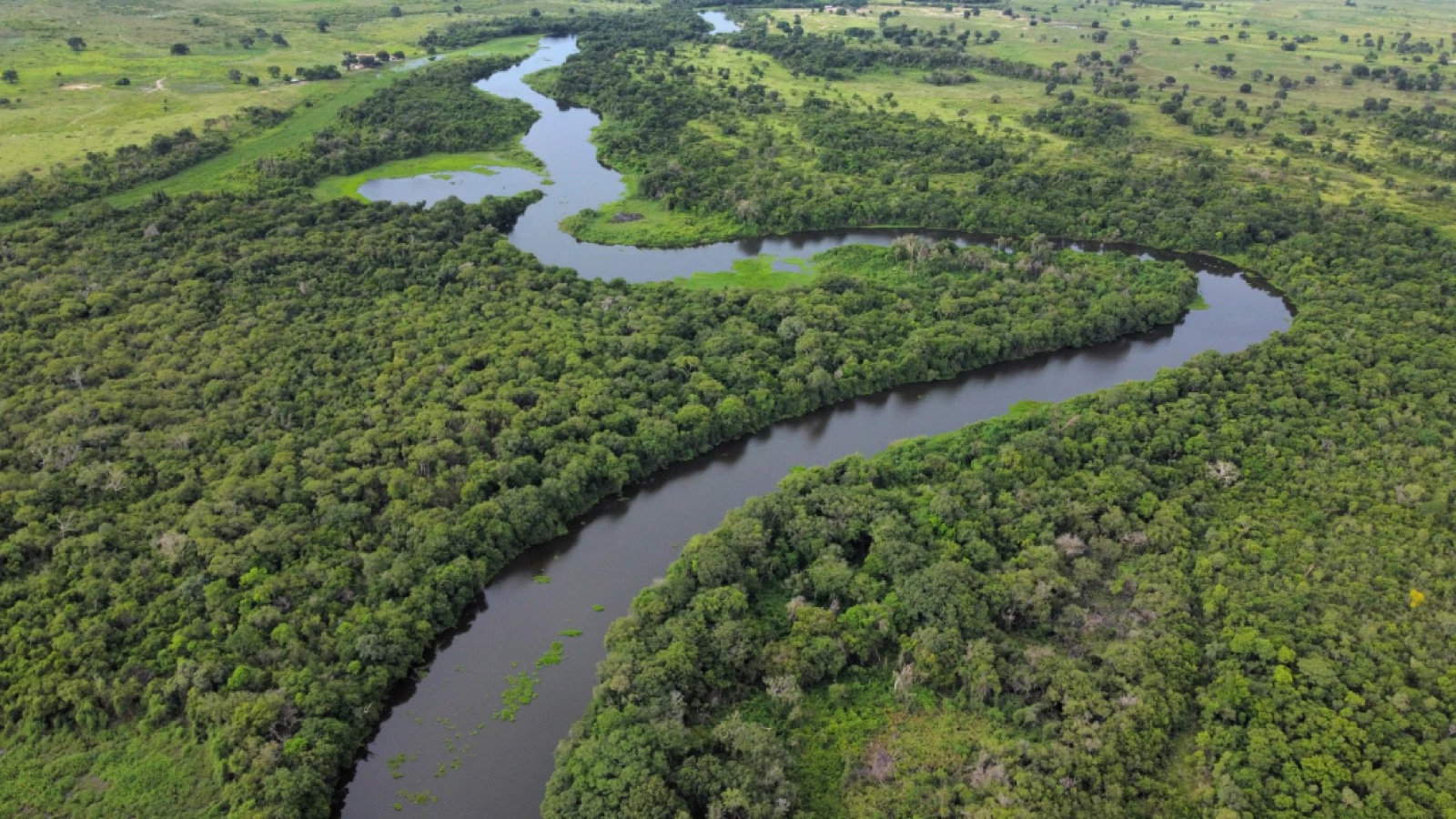 Aerial view of a meandering river through the Pantanal forest